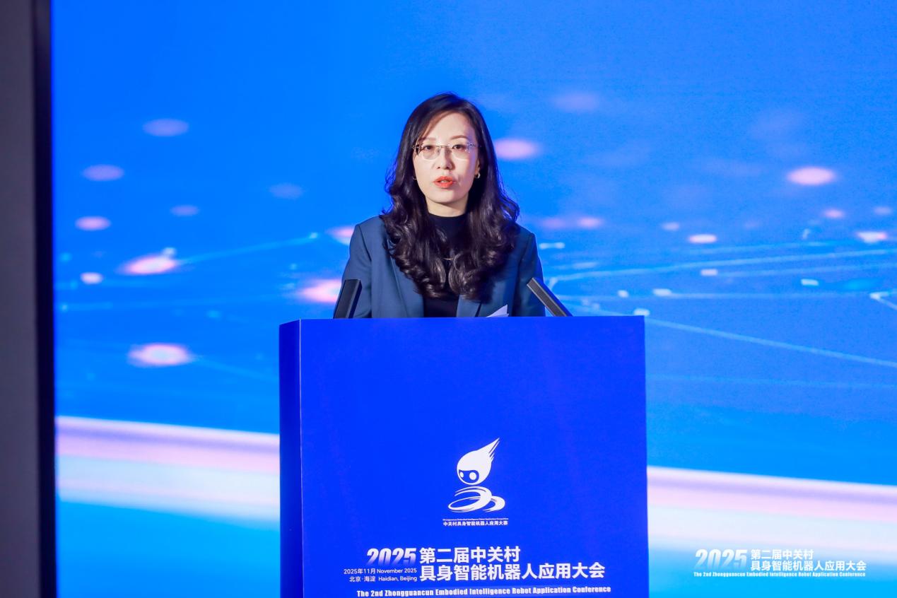 BM1D6217-opq4133151762