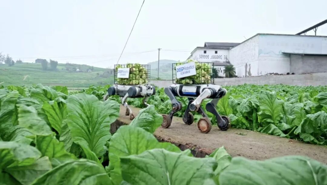 从炫技内卷到落地实干,这家杭州六小龙引领行业下半场 | 前沿在线 从炫技内卷到落地实干,这家杭州六小龙引领行业下半场 | 前沿在线