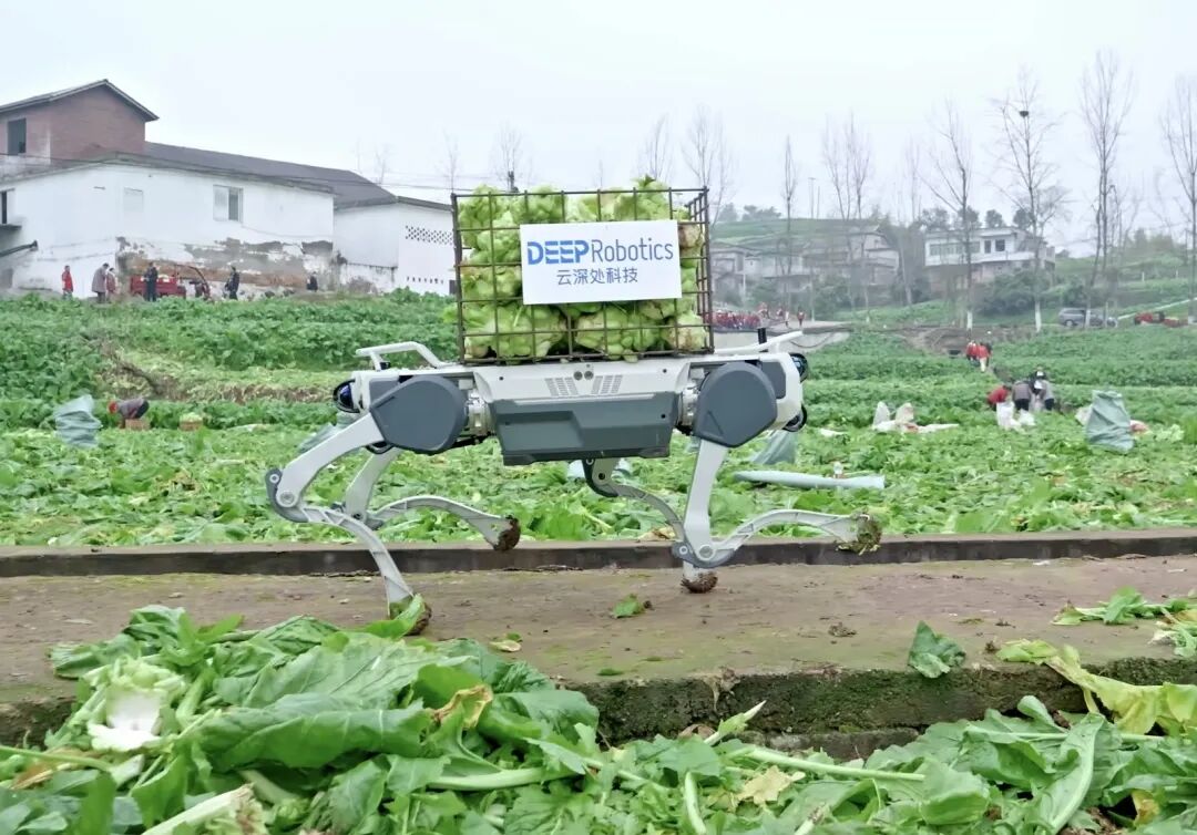 从炫技内卷到落地实干,这家杭州六小龙引领行业下半场 | 前沿在线 从炫技内卷到落地实干,这家杭州六小龙引领行业下半场 | 前沿在线