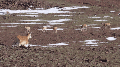 从炫技内卷到落地实干,这家杭州六小龙引领行业下半场 | 前沿在线 从炫技内卷到落地实干,这家杭州六小龙引领行业下半场 | 前沿在线