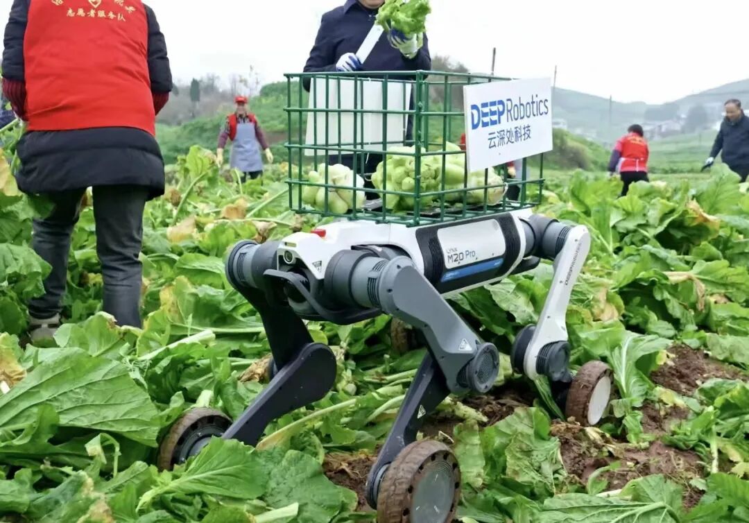 从炫技内卷到落地实干,这家杭州六小龙引领行业下半场 | 前沿在线 从炫技内卷到落地实干,这家杭州六小龙引领行业下半场 | 前沿在线