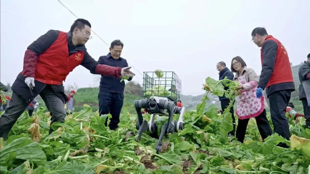 从炫技内卷到落地实干,这家杭州六小龙引领行业下半场 | 前沿在线 从炫技内卷到落地实干,这家杭州六小龙引领行业下半场 | 前沿在线