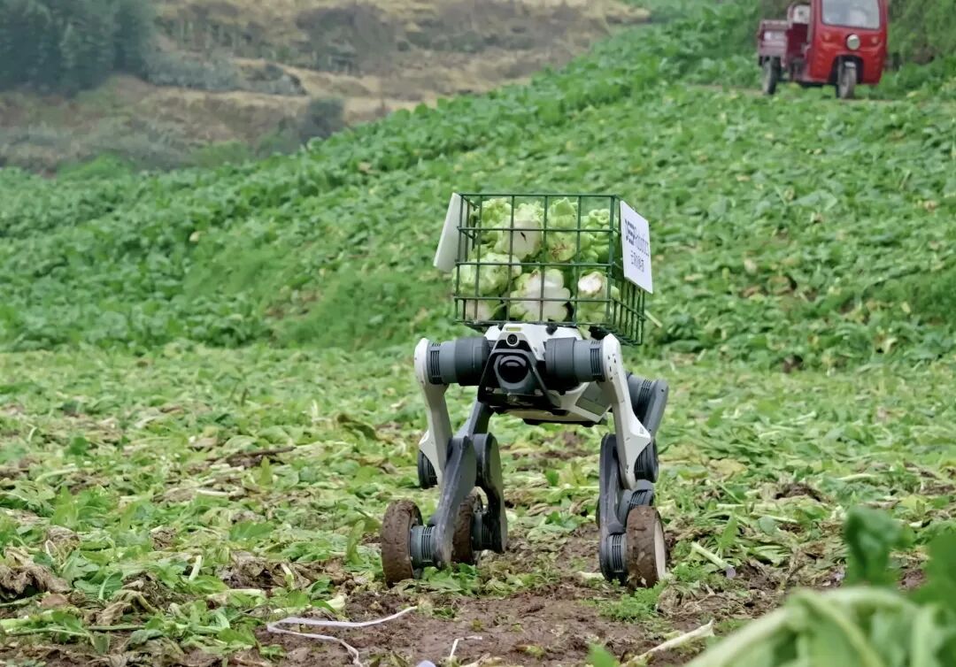从炫技内卷到落地实干,这家杭州六小龙引领行业下半场 | 前沿在线 从炫技内卷到落地实干,这家杭州六小龙引领行业下半场 | 前沿在线