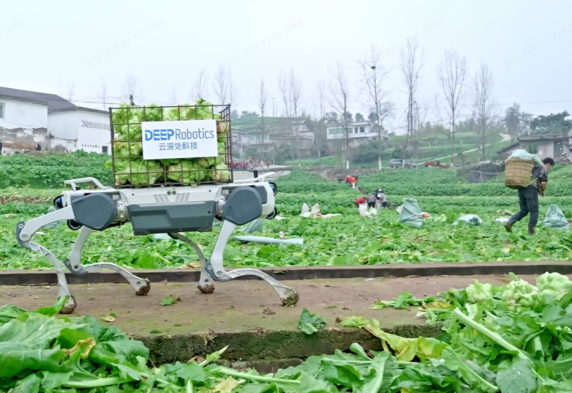 从炫技内卷到落地实干,这家杭州六小龙引领行业下半场 | 前沿在线 从炫技内卷到落地实干,这家杭州六小龙引领行业下半场 | 前沿在线