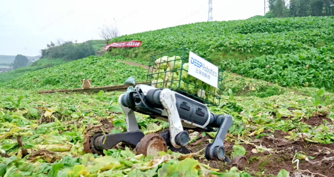 从炫技内卷到落地实干,这家杭州六小龙引领行业下半场 | 前沿在线 从炫技内卷到落地实干,这家杭州六小龙引领行业下半场 | 前沿在线